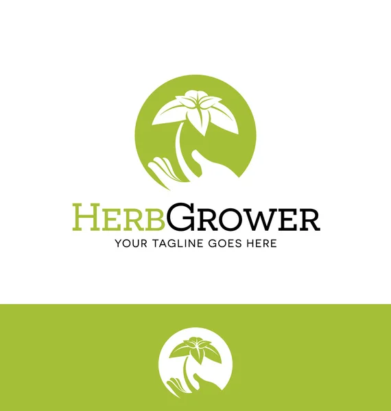 Logotypdesign för business eller hemsida med anknytning till jordbruk eller trädgårdsskötsel. Hand innehav ny anläggning — Stock vektor