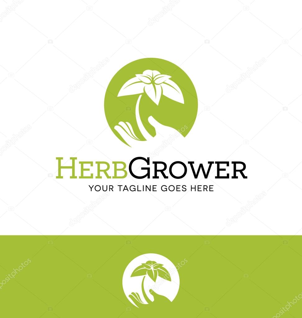 Logo design for business or website related to agriculture or gardening. Hand holding new plant