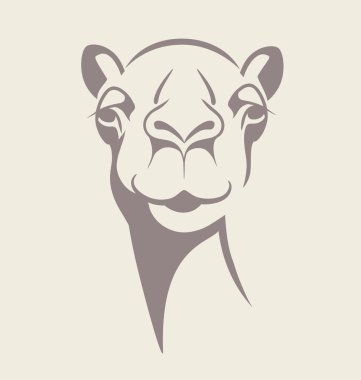 funny camel face vector illustration for T shirt, poster, print design.