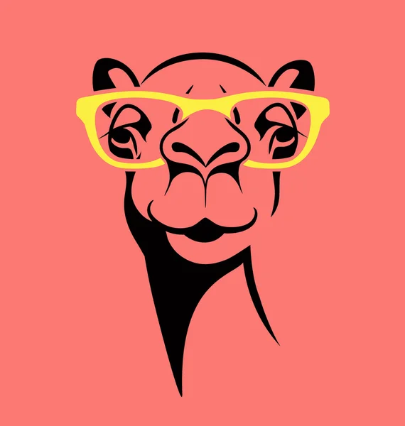 Camello divertido con gafas. vector de ilustración para camiseta, póster, diseño de impresión . — Archivo Imágenes Vectoriales