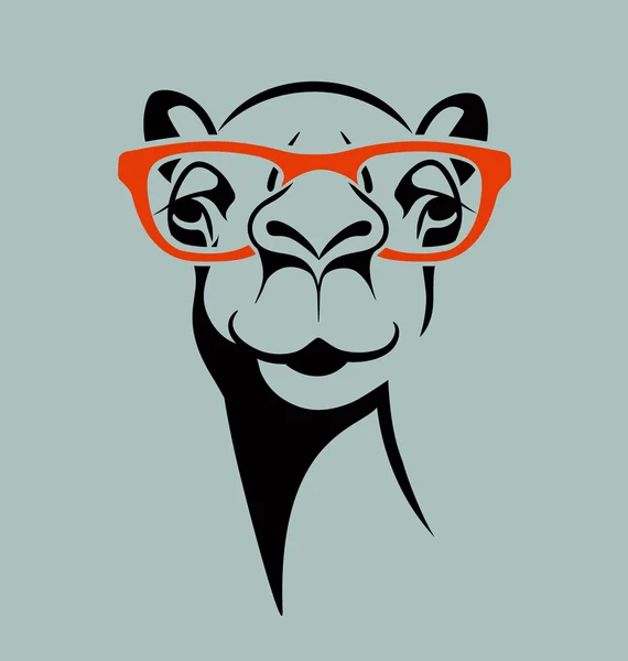Komik deve gözlük takıyorum. vektör çizim T shirt, poster, baskı tasarımı için. — Stok Vektör