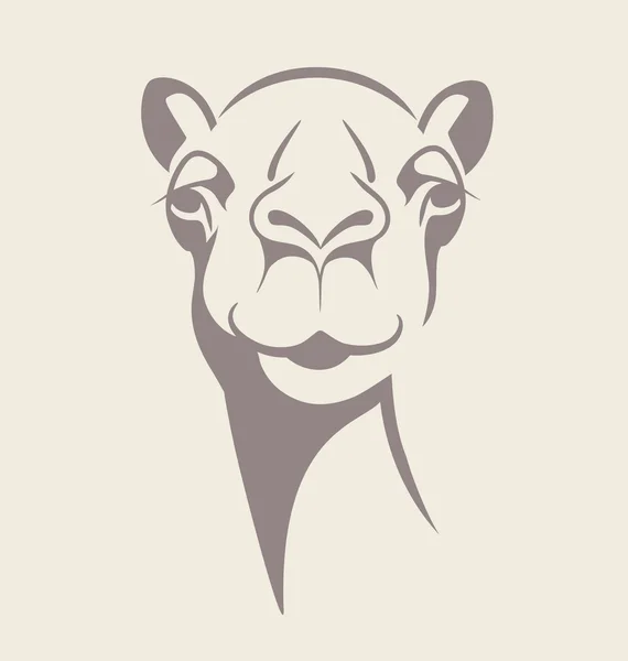 Divertente cammello volto vettoriale illustrazione per maglietta, poster, disegno di stampa . — Vettoriale Stock