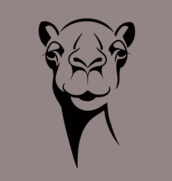 Ilustracja wektorowa śmieszną twarz wielbłąd T shirt, plakat, wzór wydruku?. — Wektor stockowy