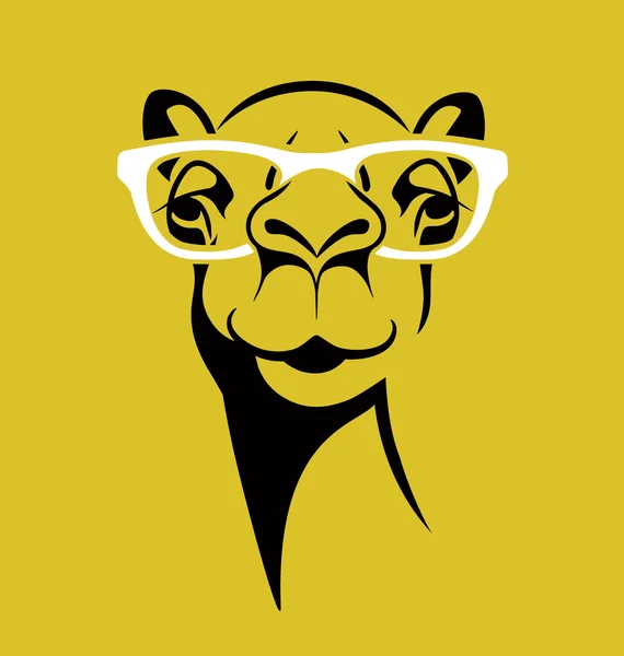 Camello divertido con gafas. vector de ilustración para camiseta, póster, diseño de impresión . — Vector de stock