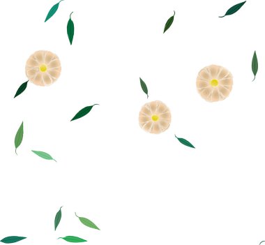 güzel botanik arka plan, çiçek vektör illüstrasyonu