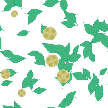 soyut çiçekler ve yapraklar, çiçekler duvar kağıtları, vektör illüstrasyonu