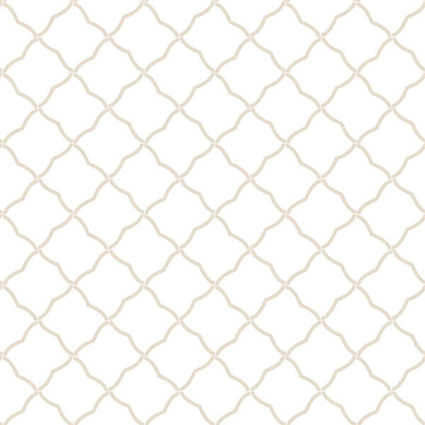 seamless pattern with geometric ornament. vector illustration