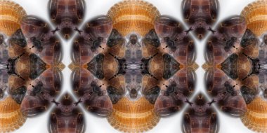 soyut geometrik arkaplan ve klas modeller 