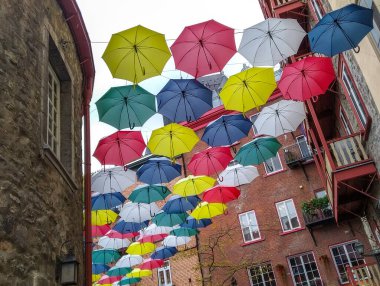  Kanada 'nın Quebec şehrinde Petit Champlain caddesinde bir sürü şemsiye var.
