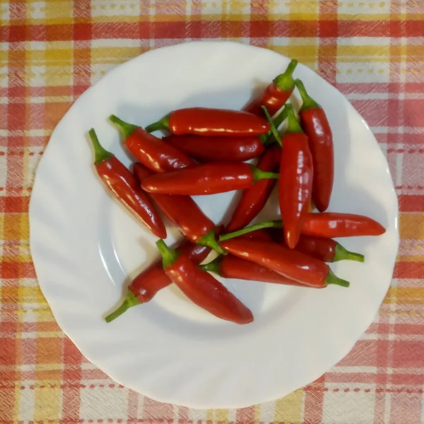 Rode Hete Chili Pepers Bord — Stockfoto