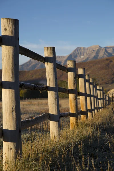 Dřevěný plot linie s podzimní listí na horách Stock Fotografie