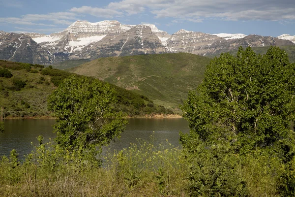 Neuvěřitelná horské stvol jaro v Rocky Mountains zelené údolí — Stock fotografie