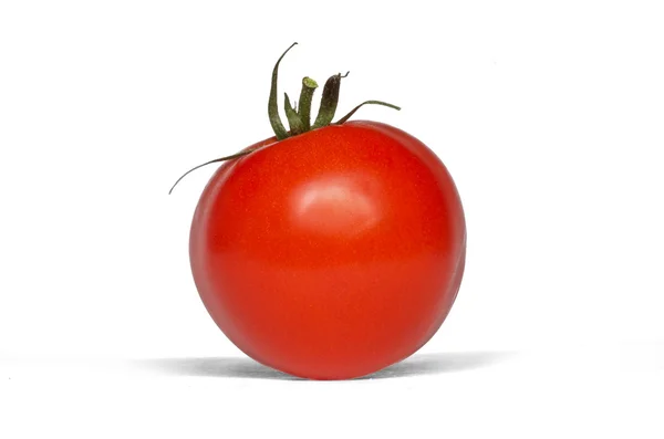 Single Tomato — Stock Photo, Image