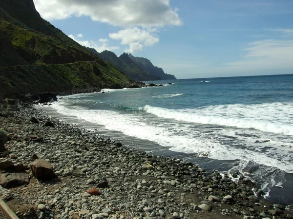 Tenerife Shore