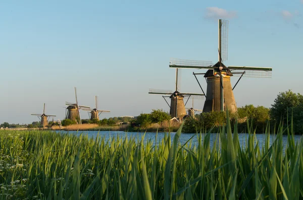 Windmühlen — Stockfoto