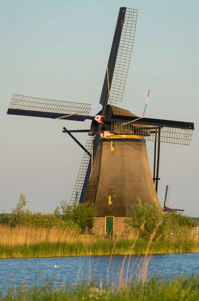 Moulin à vent néerlandais — Photo