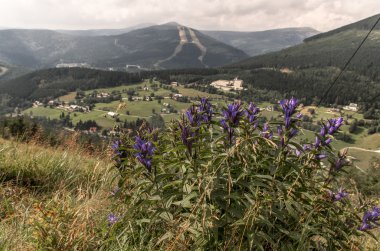 Spindleruv mlyn Krkonose Dağları (Çek Cumhuriyeti)