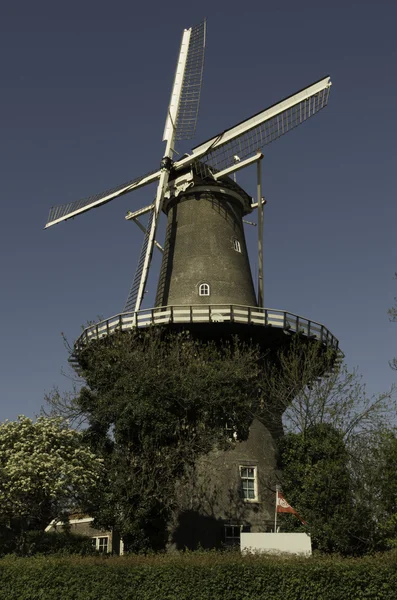 Duthc windmill — Stock Photo, Image