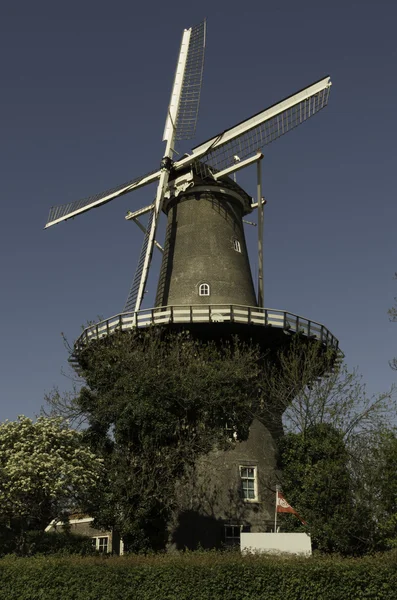 Moulin à vent Duthc — Photo