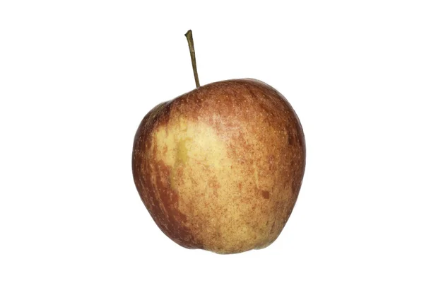 Isolierter Apfel — Stockfoto