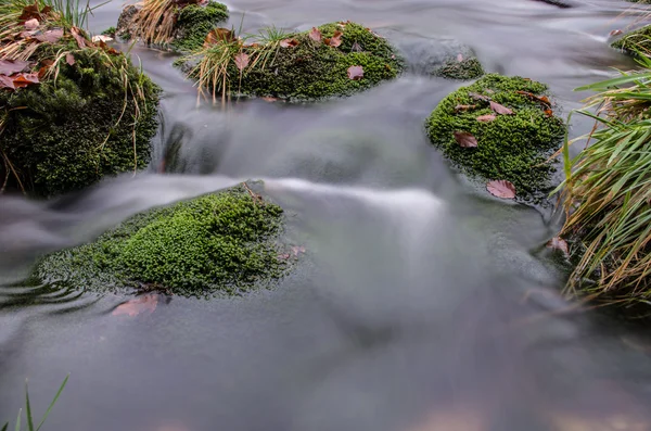 Rapids na Izerskie — Zdjęcie stockowe