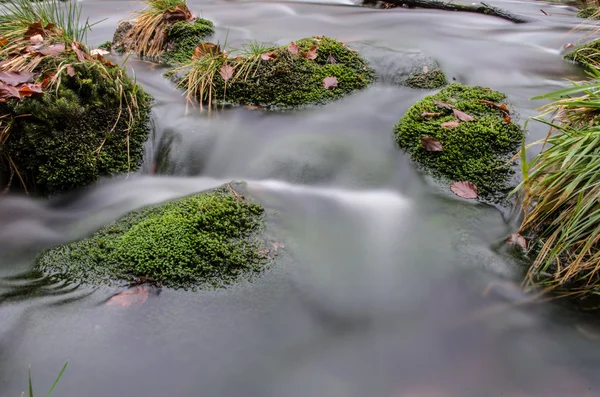 Rapids na Izerskie — Zdjęcie stockowe