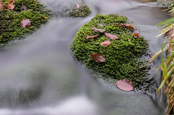 Peřeje na Jizerské — Stock fotografie