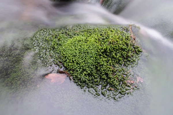 Jizera'daki Rapids 