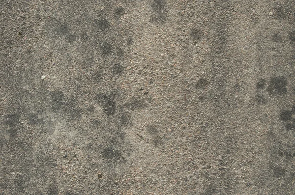 Beton duvar
