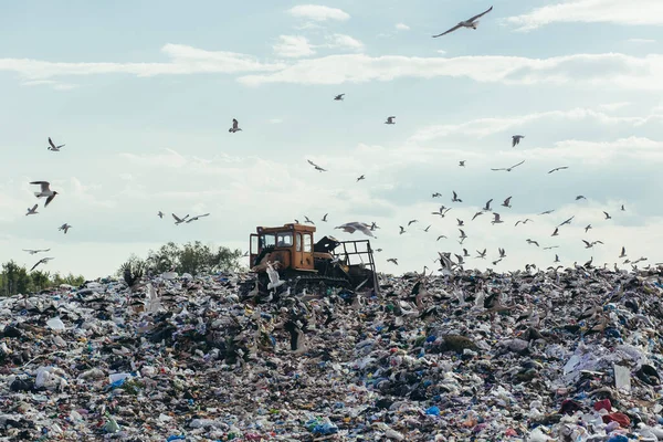国内のゴミ埋め立て地のゴミ捨て場 — ストック写真