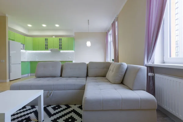 Fotografía Interior Gran Sala Estudio Con Cocina Verde Moderna — Foto de Stock