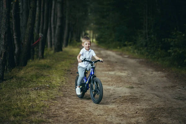 Ein Kleiner Junge Radelt Wald — Stockfoto