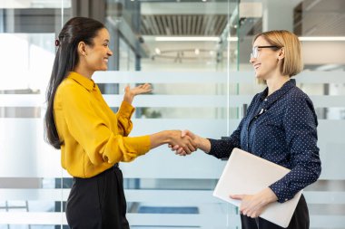 İki profesyonel kadın gülümseyip el sıkışıyor, modern ofis ortamında güven ve ortaklık kuruyor, anlaşmayı ve başarılı işbirliğini simgeliyor