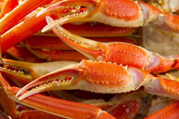 Beaucoup de griffes de crabe bouillies — Photo