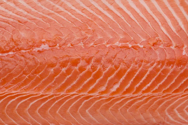 Verse roe Zalm Filet op ijs — Stockfoto