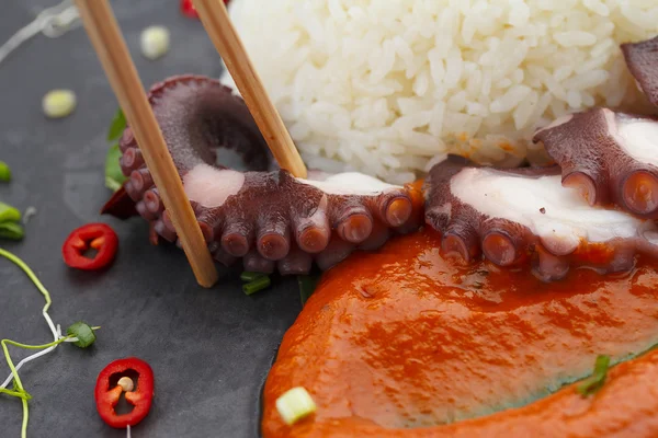 Arroz com polvo e molho de caril — Fotografia de Stock