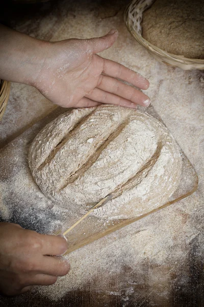 Pão fresco. Cozimento . — Fotografia de Stock