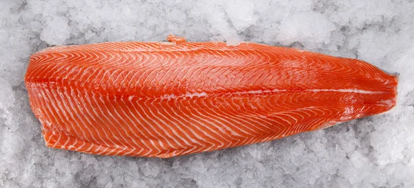 Filet z lososa na ledě — Stock fotografie