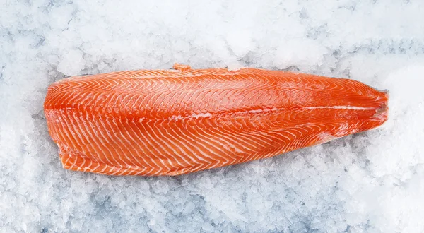 Filet z lososa na ledě — Stock fotografie