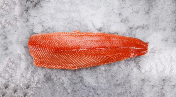Филе лосося на льду — стоковое фото