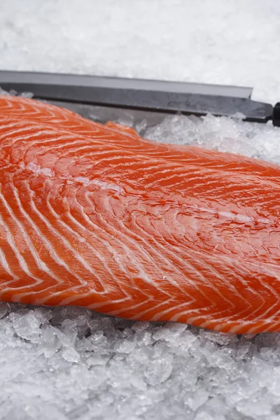 Salmon fillet on ice — Stock Photo, Image
