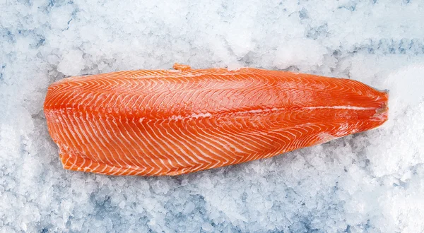 Філе лосося на льоду — стокове фото