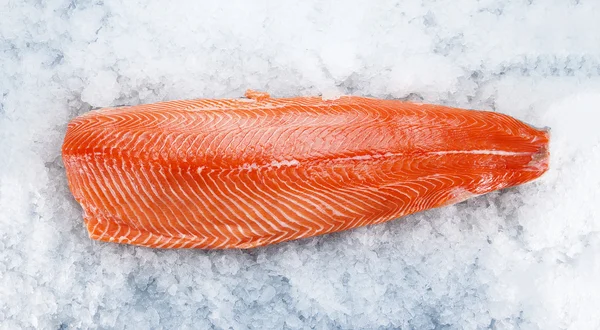 Salmon fillet on ice — Stock Photo, Image