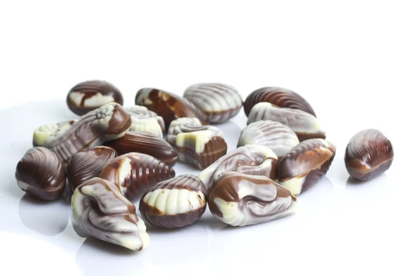 Chocolate seashells isolated on white background — Stock Photo, Image