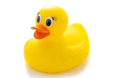 Yellow rubber duck on White Background clipart