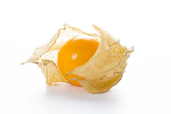 Physalis — Fotografia de Stock