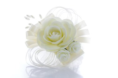 Beyaz bir gül tomurcuğu. Beyaz arka plan üzerinde izole