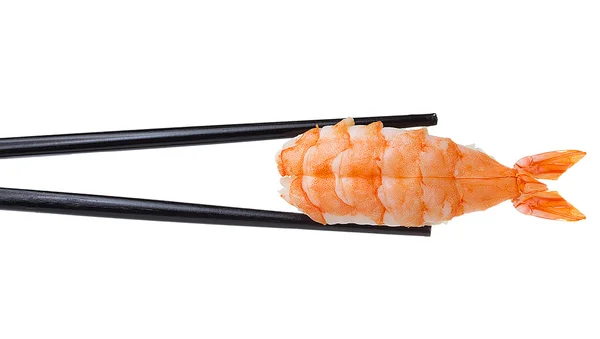 Japan cuisine. Sushi. — Stock Photo, Image