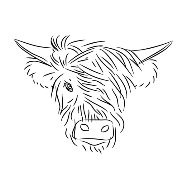 Modieuze Stierenkop Met Pony Een Witte Achtergrond Het Symbool Van — Stockvector
