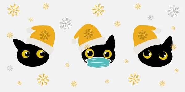 Black Cat New Year Yellow Hat Blue Medical Mask Three —  Fotos de Stock
